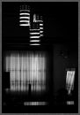 IMG_4913a.jpg