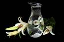 Jug_and_lillies2.jpg