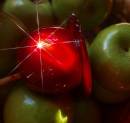 RED_fruit_copy.jpg