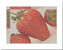 Raised-Strawberry.jpg
