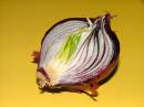 Red_Onion_Jun06.JPG