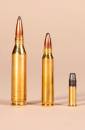 Rifle_Ammunition_copy_2.jpg