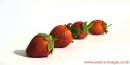 Strawberries_final_small_watermarked_copy.jpg