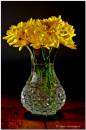 Table-Top--Blooms.jpg