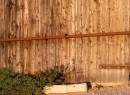 Timber_and_rust.jpg