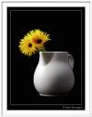Vase-and-Gerbra.jpg