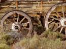 Wagon_Wheels.jpg