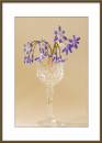 Wine-Glass-and-Flowers.jpg