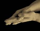 Working_Hands.jpg