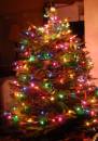 XMasTree06small.jpg