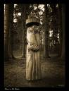 alone_in_the_woods.jpg