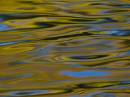 autumn_colour_2.jpg