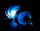 bluebottle_3.jpg