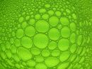 bubbles_and_dots_R.jpg