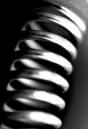 coiled_.jpg