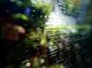 day110_rainy_day_resize.jpg