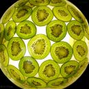 day112_kiwi_fruit.jpg
