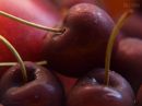 day351_yummy_cherries_r.jpg