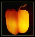 day_33_capsicum_resize.jpg