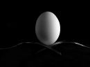 egg_resize_bw.jpg