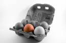 eggbox_colone_1024x768_.jpg