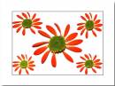 fake-flower.jpg