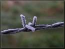fence2.jpg