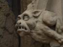 gargoyle.jpg