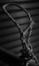 noose_.jpg