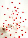 painted_red_spots_resize.jpg