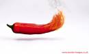 red_hot_2_sml_marked.jpg