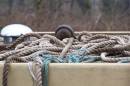 ropes.jpg