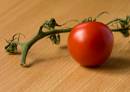 wpf_4649-Edit.jpg