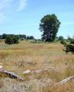 /gallery/data/521/thumbs/DSC05560_W_90_LANDSCAPE_MODE_10_X8_PERFECTLY_CLEAR_.jpg