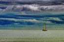 /gallery/data/521/thumbs/IMG_8117_JPGssd.jpg