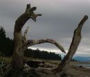 /gallery/data/521/thumbs/Parksville_022_1.jpg