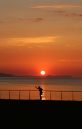 /gallery/data/521/thumbs/Skateboard_sunset_800.jpg