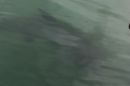 /gallery/data/521/thumbs/What_lies_beneath.jpg
