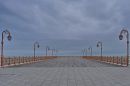 /gallery/data/521/thumbs/XT328307M.JPG