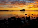 /gallery/data/521/thumbs/day_217_mangrove_rocks_r.jpg