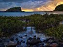 /gallery/data/521/thumbs/mangroves_sunrise_resize.jpg