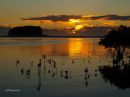 /gallery/data/521/thumbs/sunrise_C_25th_Aug.jpg