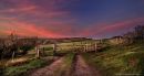 GATEWAY_TO_EVENING_4.jpeg