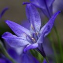 IMG_4943.jpg