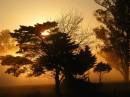 September_dawn_2.jpg