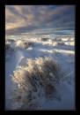 The-Ice-Field-WP.jpg