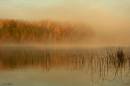 fog_on_moccasin_lake_1A.jpg