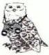 Snowyowl's Avatar